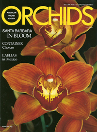 Orchids-cover
